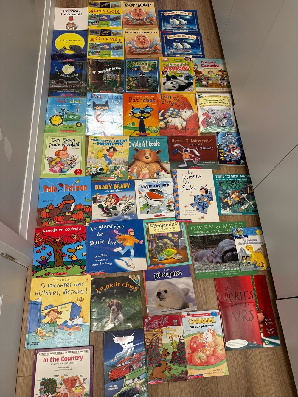 Huge French Children’s Book Lot – 40+ Books – Most Like New